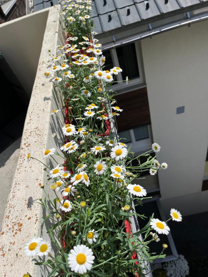 Annelise Apartment Leukerbad Ngoại thất bức ảnh